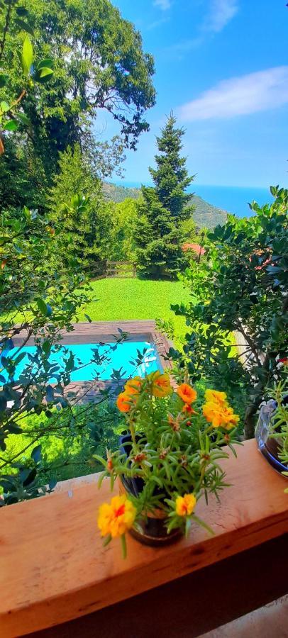 Golden Mountain Pension Anilio Pelion Buitenkant foto