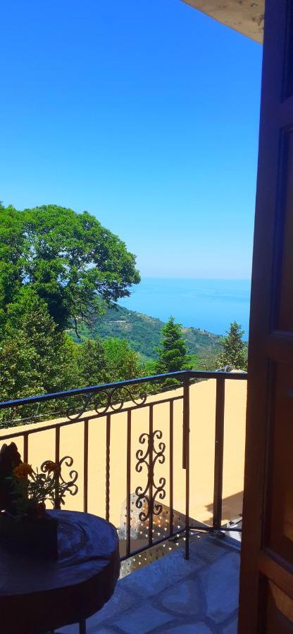Golden Mountain Pension Anilio Pelion Buitenkant foto