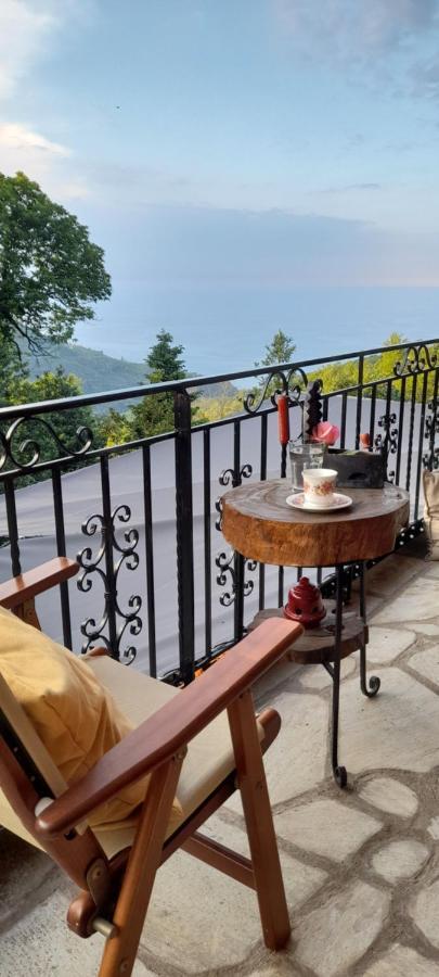 Golden Mountain Pension Anilio Pelion Buitenkant foto